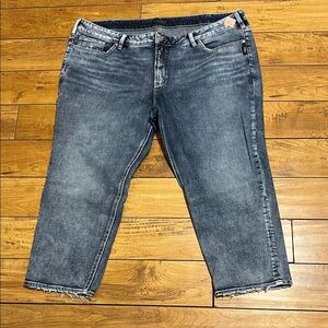 Silver Jeans Elyse slim crop